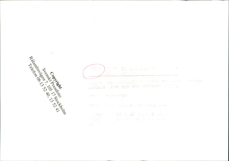 The newlywed wedding couple Sting and Trudie Styler - Vintage Photograph