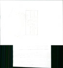 Sting along with Amazon chief Raoni visits Geneva - Vintage Photograph