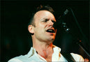Sting in concert in Stockholm - Vintage Photograph