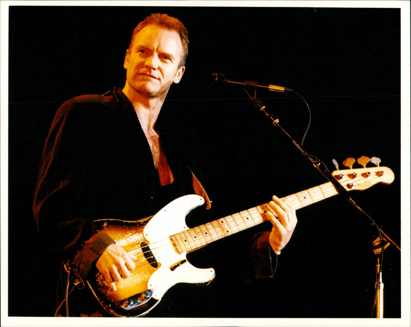 Sting - Vintage Photograph