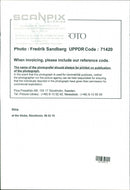 Â Stitch at the Globe in Stockholm - Vintage Photograph