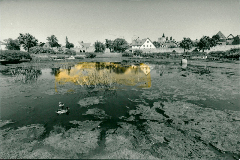 Almedalen Park - Vintage Photograph