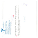 OTHER OVERCOMMITTED DESK ANIMALS IMAGE ACTION EACH WHICH TIMES SHOWS DUST - Vintage Photograph