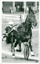 Pravare Rappe Håleryd - Vintage Photograph