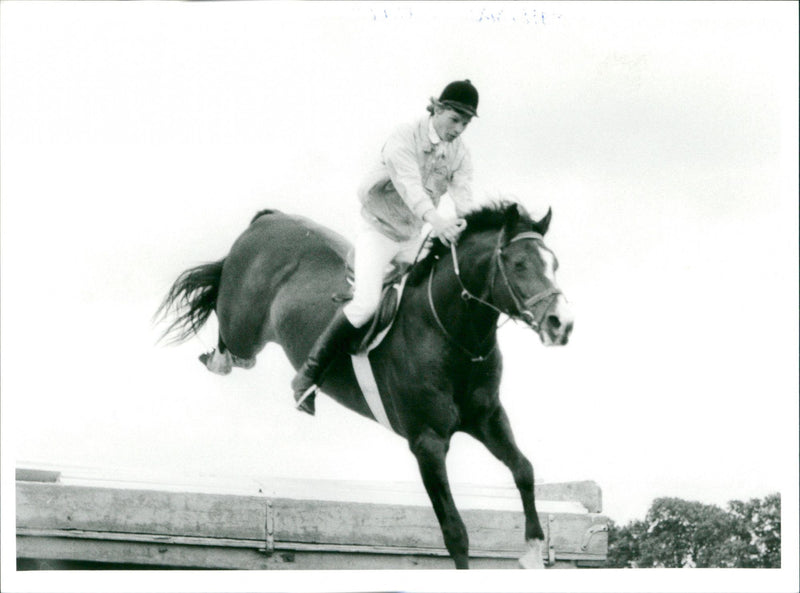 Peter Eriksson, Equestrianism. - Vintage Photograph