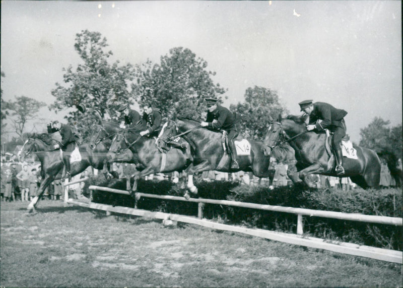 Equestrian/Horse Sport - Vintage Photograph