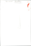 Co-writer Marianne Sandberg - Vintage Photograph