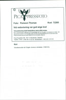 1998 TELEPHONE MURDER SWEDEN THOMAS RESPONSIBLE IMAGE DELIVERY BLFS CODE CON - Vintage Photograph