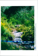 1998 WALKA MURDER LATTSVASEN MURDER CASE - Vintage Photograph