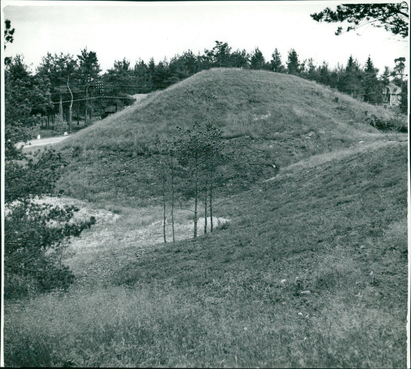 SWEDISH SWEDEN ARCHIVE BOB DENUE VENDAR - Vintage Photograph