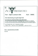 1995 TELEPHONE SWEDEN RESPONSIBLE IMAGE DELIVERY ASK MUSIC - Vintage Photograph