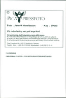 SWEDEN RESPONSIBLE FUTURE IMAGE DELIVERY BLF HENRIKSSON JANERIK POET - Vintage Photograph