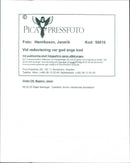 Katja Seizinger - Vintage Photograph