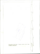 Bernhard Eckstein - Vintage Photograph