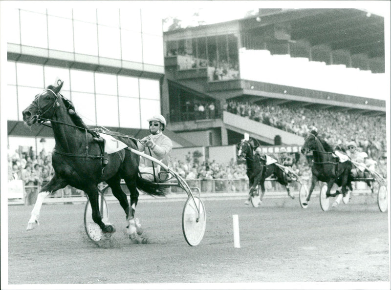 Carolo Min: Equestrian Trotting Horse - Vintage Photograph