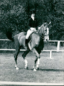Ulla Håkansson, Swedish equestrian. - Vintage Photograph