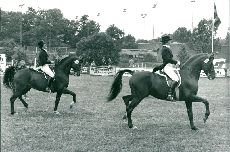 Ulla Håkansson, Swedish equestrian. - Vintage Photograph
