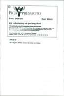 Niklas Jonsson - Vintage Photograph