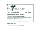 Herman Maier - Vintage Photograph