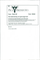 Johnny Lange musician - Vintage Photograph