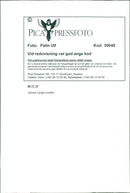 Johnny Lange musician - Vintage Photograph