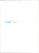 Werner Schaffer, basketball player - Vintage Photograph