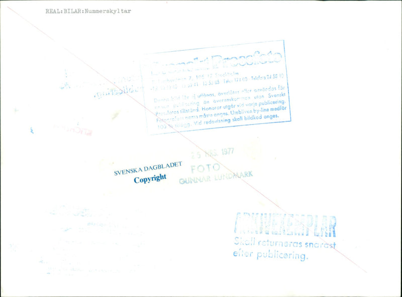 Real Cars License plate signs - Vintage Photograph