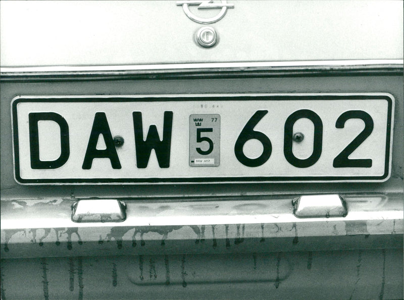 Real Cars License plate signs - Vintage Photograph