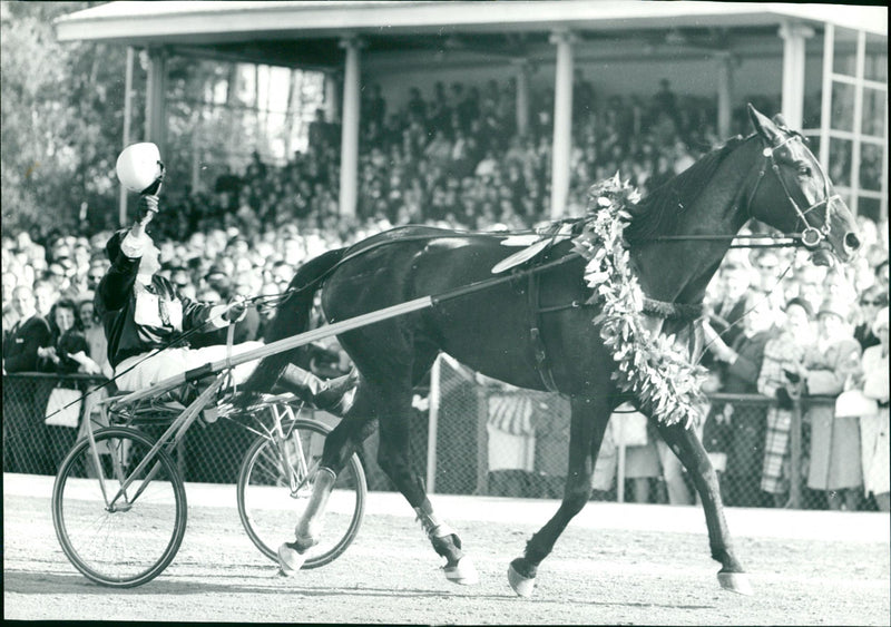 Elma and Johannes Frömming. - Vintage Photograph