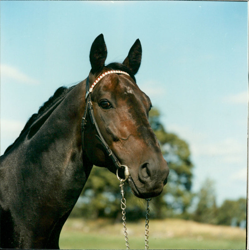 Crowntron - Vintage Photograph