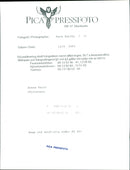 Donna Tartt - Vintage Photograph