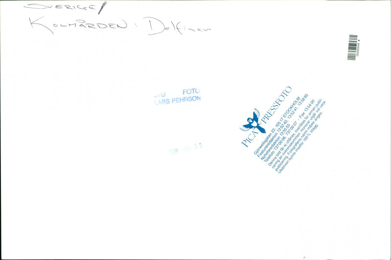 Kolmarden - Vintage Photograph