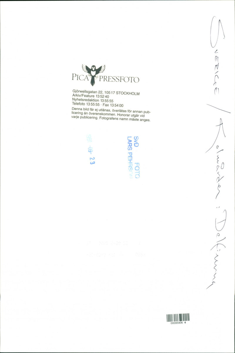 Kolmarden - Vintage Photograph