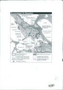 ANIMAL 1993 - Vintage Photograph