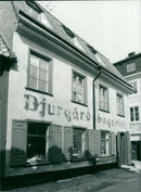 ANIMAL 1993 - Vintage Photograph