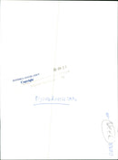 ANIMAL 1993 - Vintage Photograph