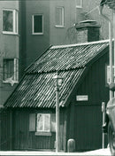 ANIMAL 1993 - Vintage Photograph