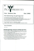 ANIMAL 1993 - Vintage Photograph