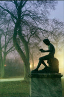 ANIMAL 1993 - Vintage Photograph