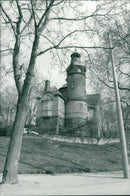 ANIMAL 1993 - Vintage Photograph