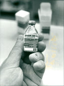 1978 LEACHING DIVISIBLE PASSED MUSCLE ANIMALS INSIDE VITRIUM - Vintage Photograph