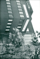 1982 NATIONAL BOARD BIALE SOLNE ENGLISH DAIBLADED DAY NATURE ROBERT - Vintage Photograph