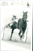 Gina Ray - Vintage Photograph