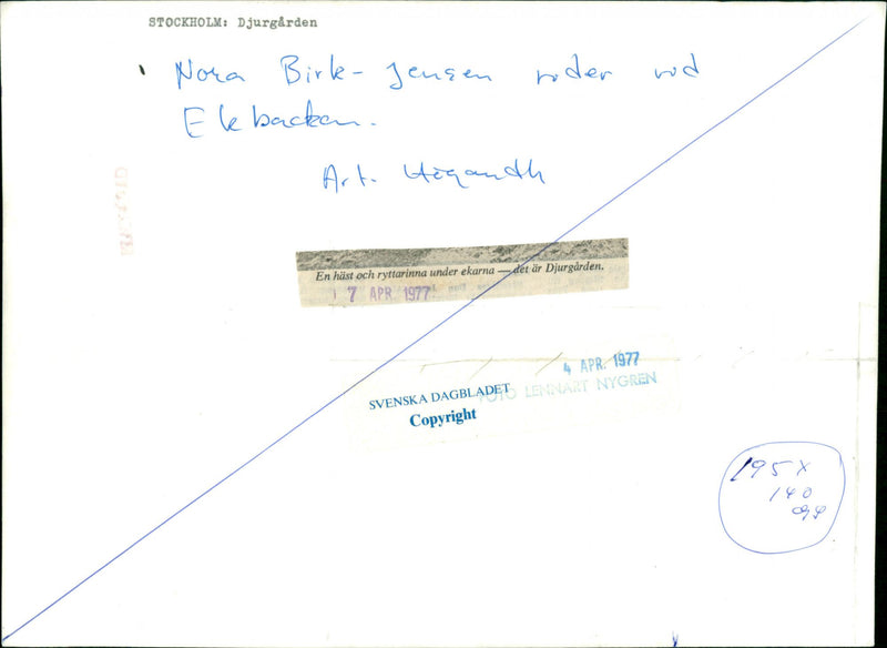 Stockholm Djurgården 1960-1992. - Vintage Photograph