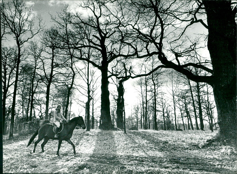 Stockholm Djurgården 1960-1992. - Vintage Photograph