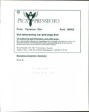 1998 MIDDLE MUSIC SWEDEN MUSIKALISKA RESPONSIBLE IMAGE DELIVE - Vintage Photograph