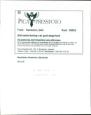 1998 MIDDLE MUSIC TELEPHONE SWEDEN RESPONSIBLE IMAGE DELIVERY - Vintage Photograph