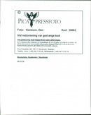 1998 MIDDLE MUSIC TELEPHONE SWEDEN MUSICAL RESPONSIBLE - Vintage Photograph