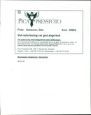 1998 MIDDLE MUSIC TELEPHONE SWEDEN MUSICAL RESPONSIBLE - Vintage Photograph