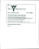 1998 MIDDLE MUSIC TELEPHONE SWEDEN RESPONSIBLE IMAGE DELIVERY - Vintage Photograph